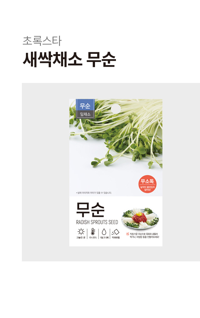 새싹 채소 무순