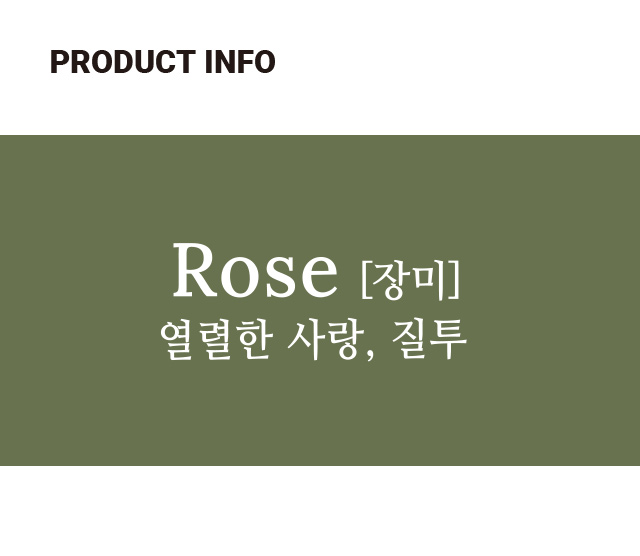 사랑의 장미 다발부쉬