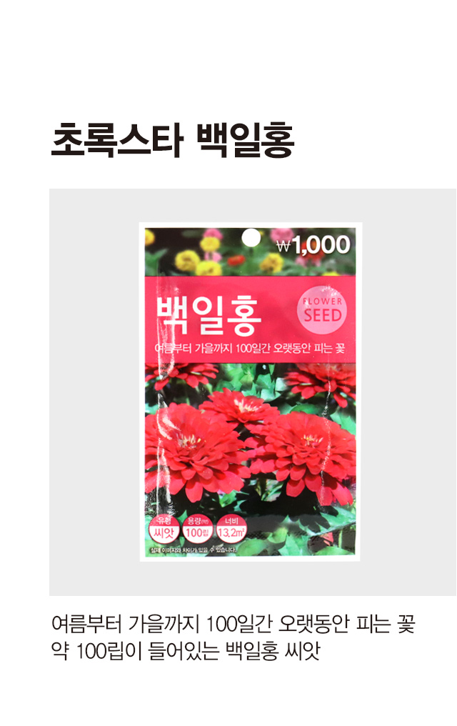 Циния 초록스타