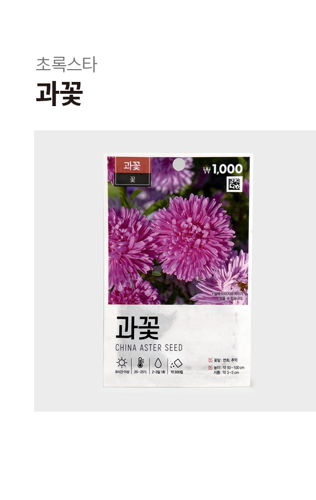 초록스타 과꽃 씨앗