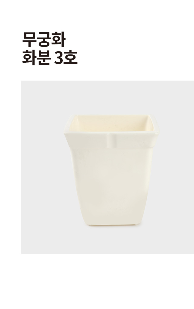 무궁화 화분 3호