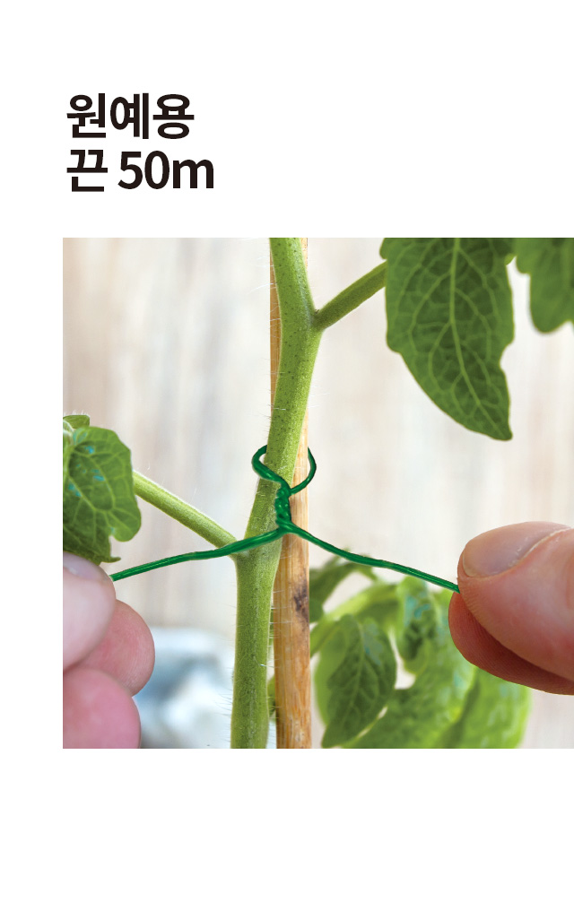원예용 끈 50m