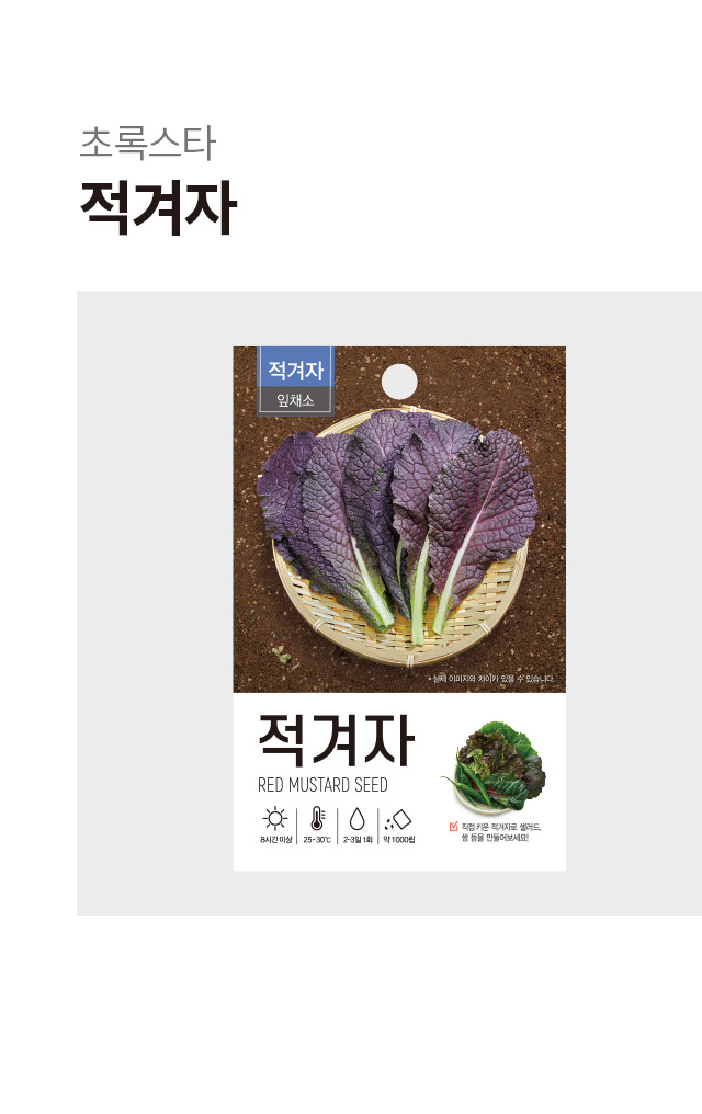 초록스타 적겨자 씨앗