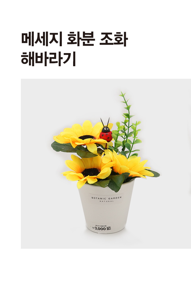 메시지 해바라기 화분조화 (C)