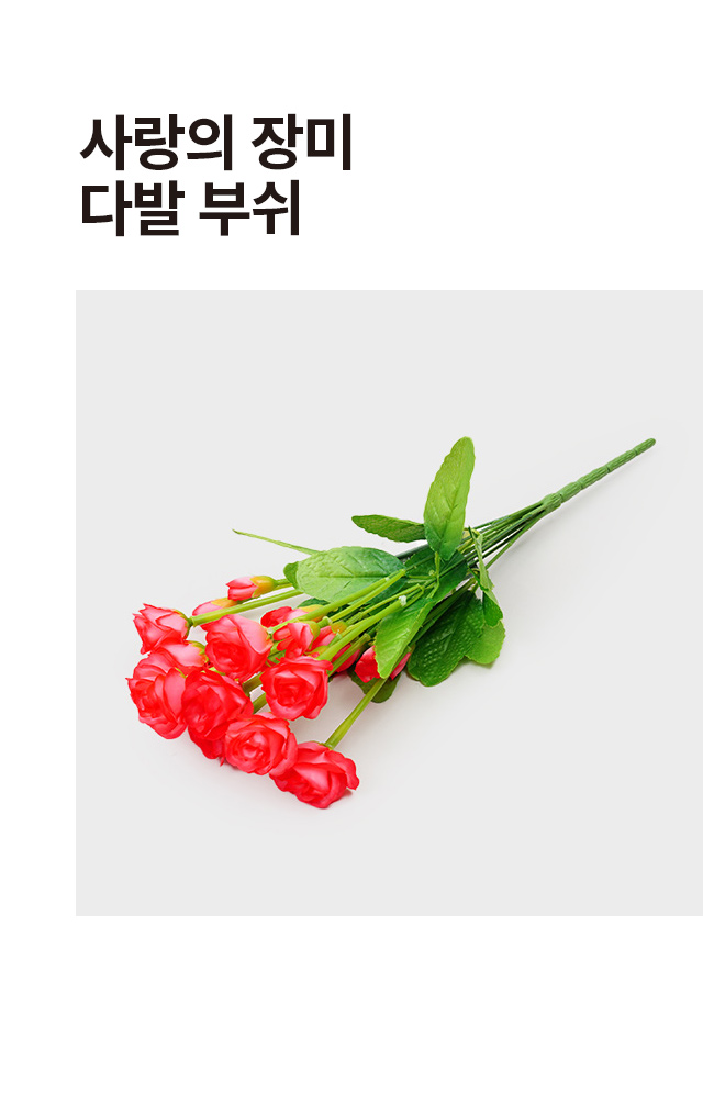사랑의 장미 다발부쉬