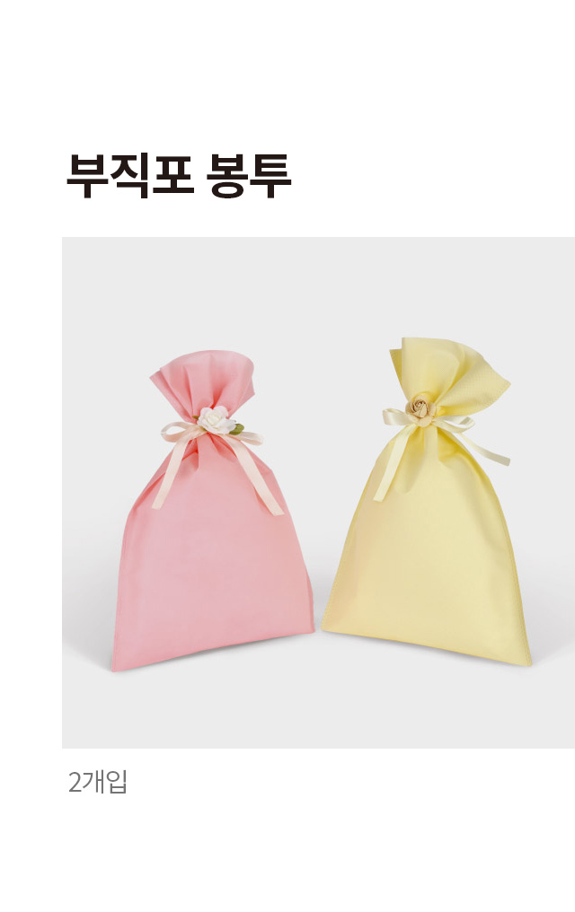 부직포 봉투 2개입