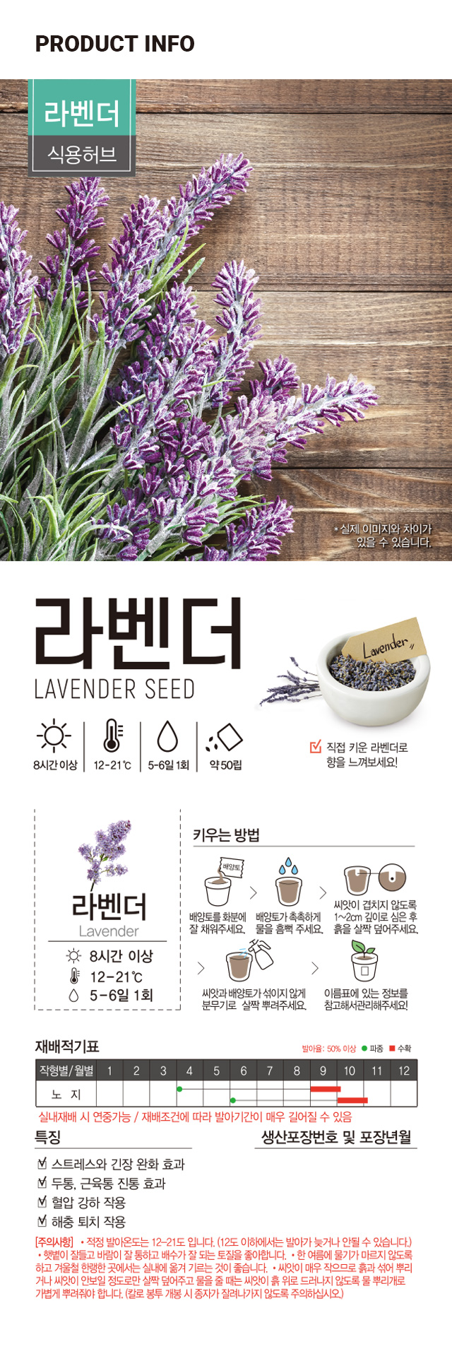 초록스타 라벤다 씨앗