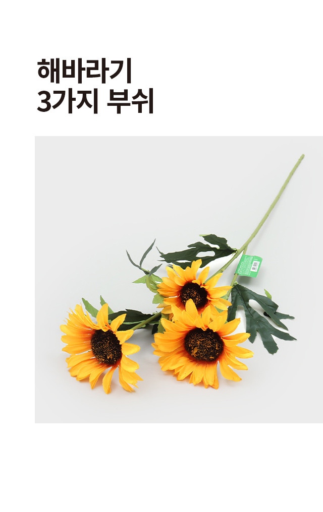 해바라기 3가지 부쉬