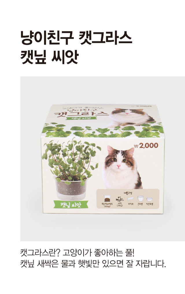 [Pets] COOM Кошачья трава (семена кошачьей мяты)