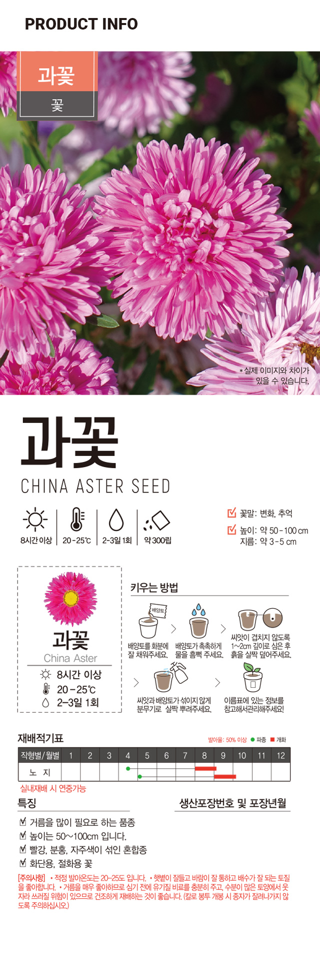 초록스타 과꽃 씨앗