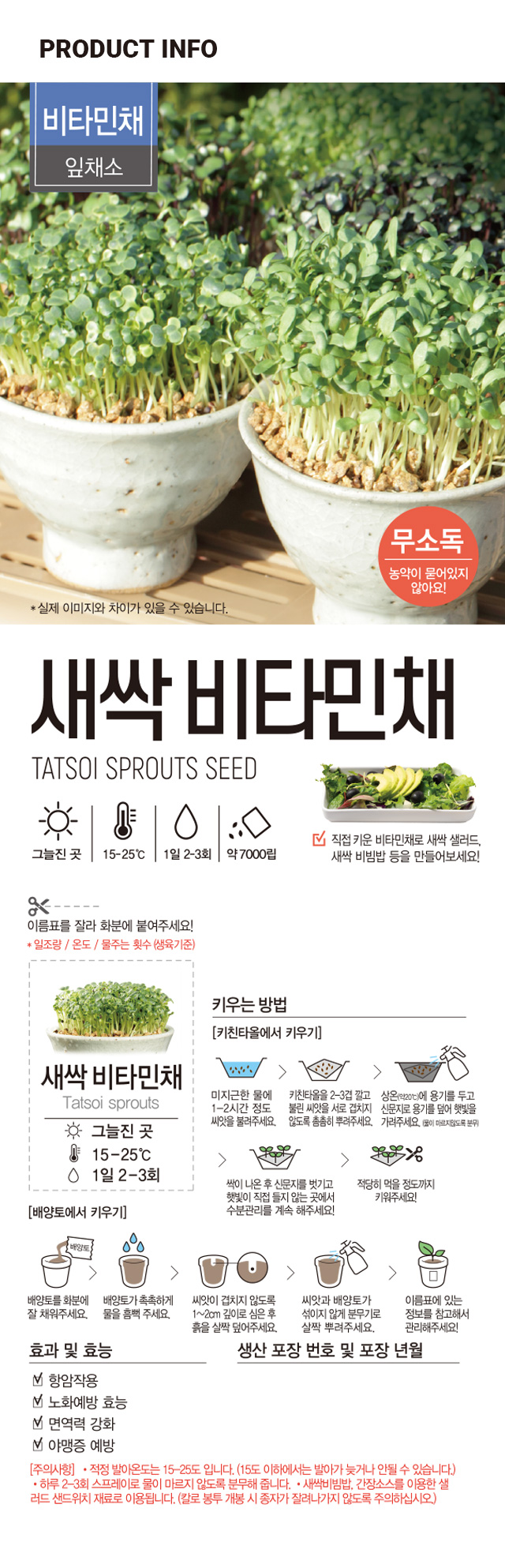 새싹 채소 비타민채