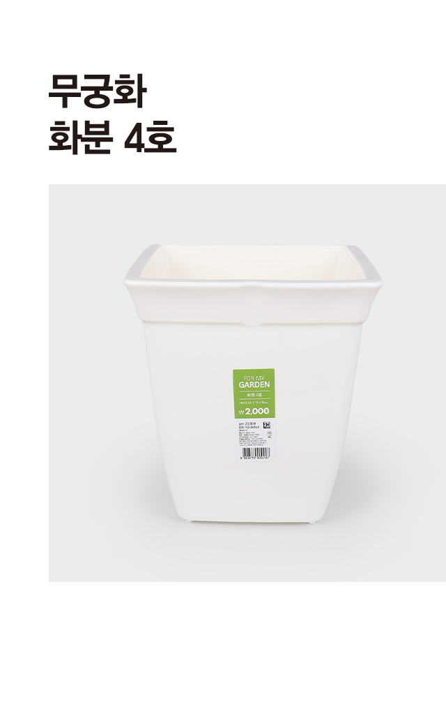 무궁화 화분 4호
