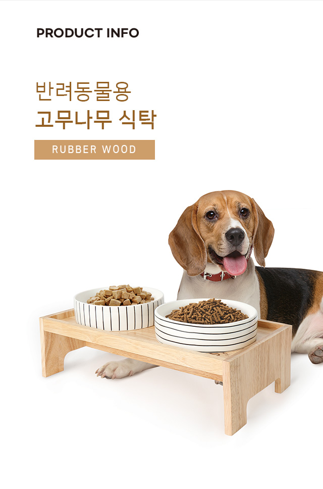 [펫]  고무나무 식탁
