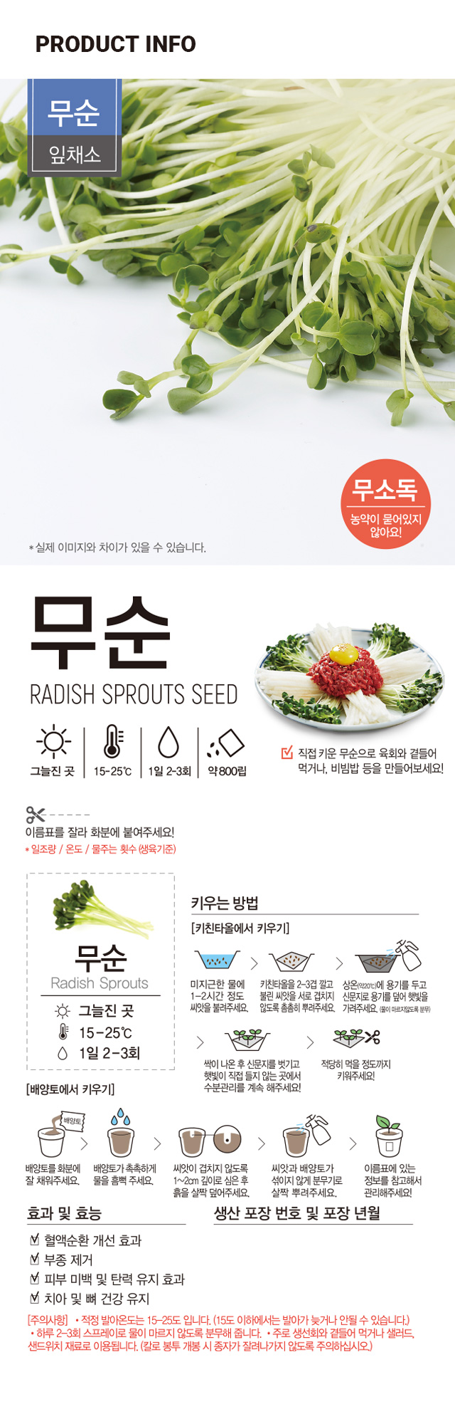 새싹 채소 무순