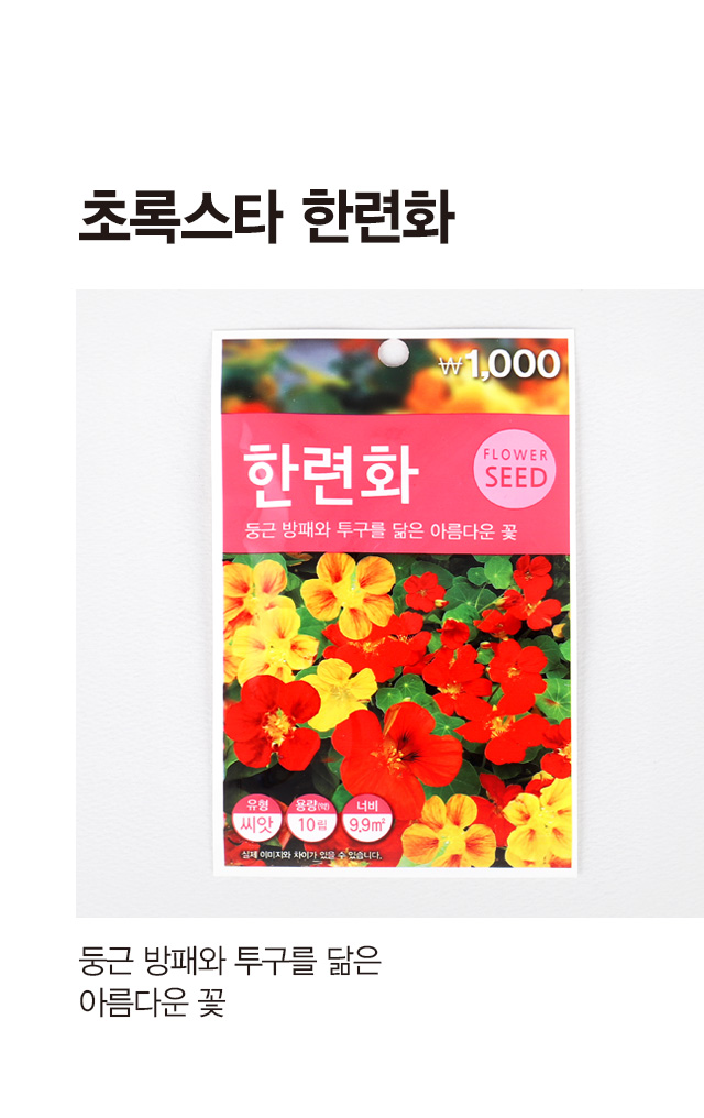 초록스타 한련화 씨앗