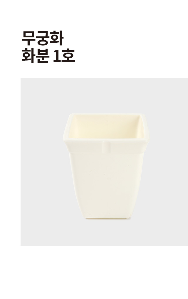 무궁화 화분 1호