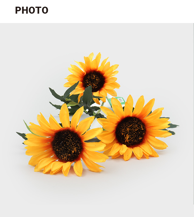 해바라기 3가지 부쉬