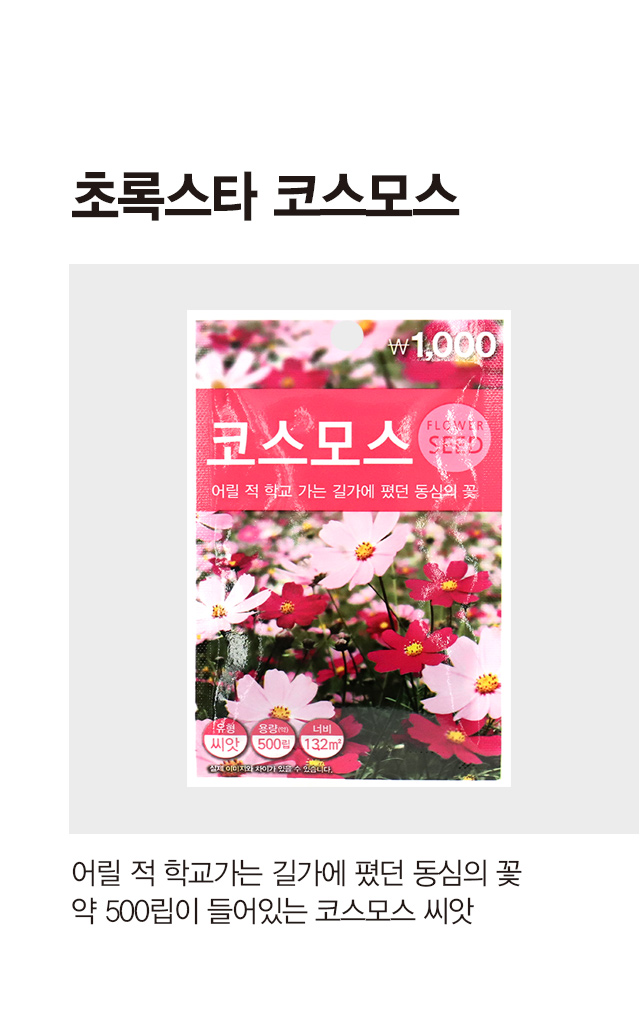 초록스타 코스모스 씨앗