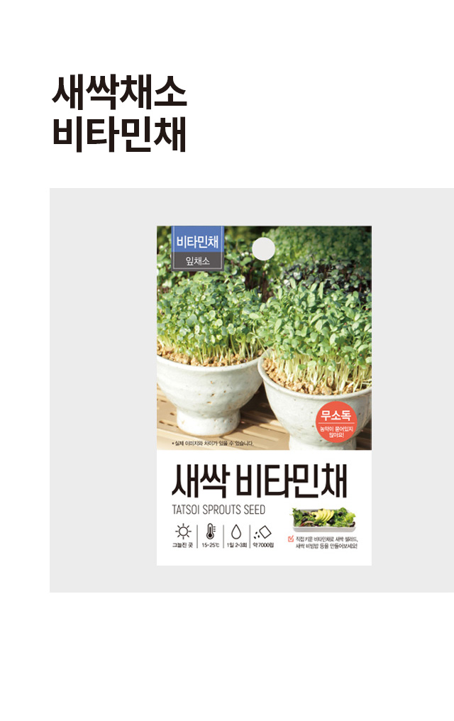 새싹 채소 비타민채