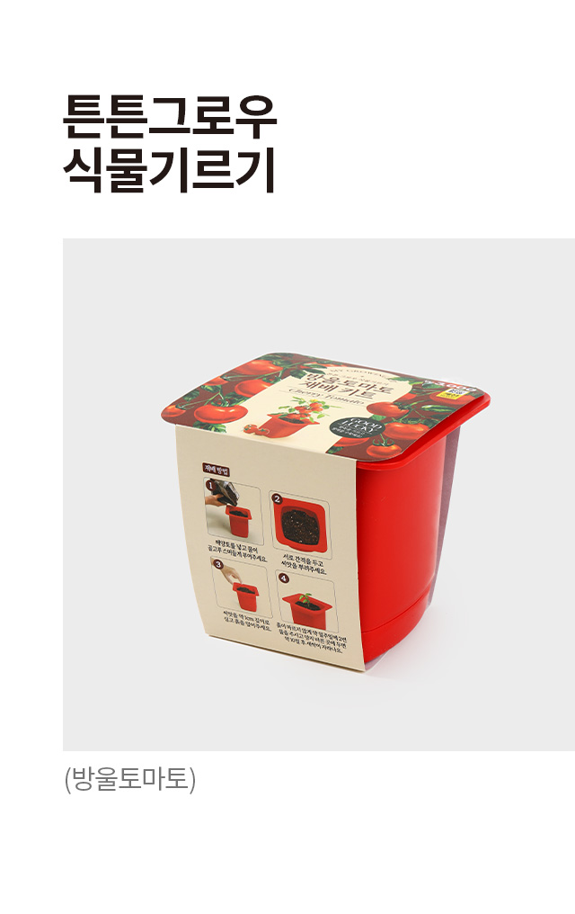 튼튼그로우 식물기르기 (방울토마토)