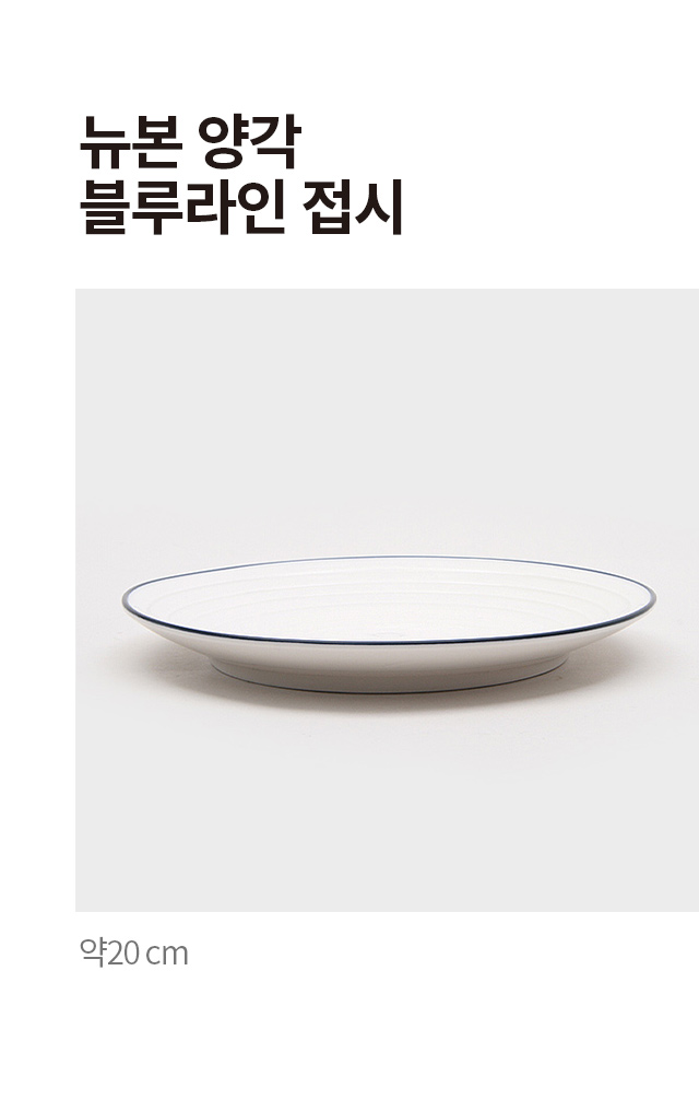 뉴본 양각 블루 라인 접시 20 cm