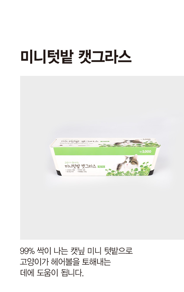 [펫] COOM 미니텃밭 캣그라스 (캣닢)