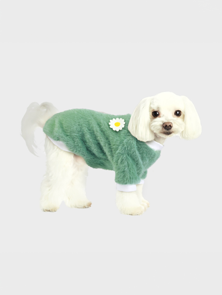 펫)데이지포인트티셔츠(L)