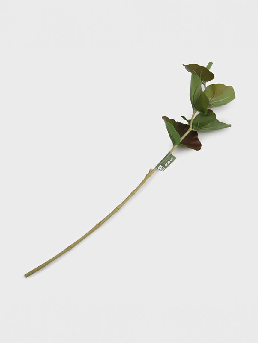 연꽃잎 가지 조화