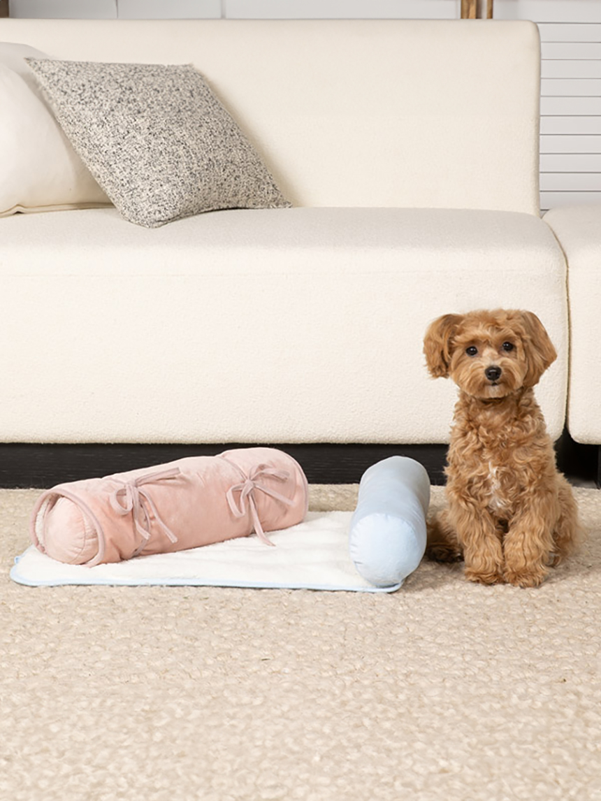 펫)단색침대방석