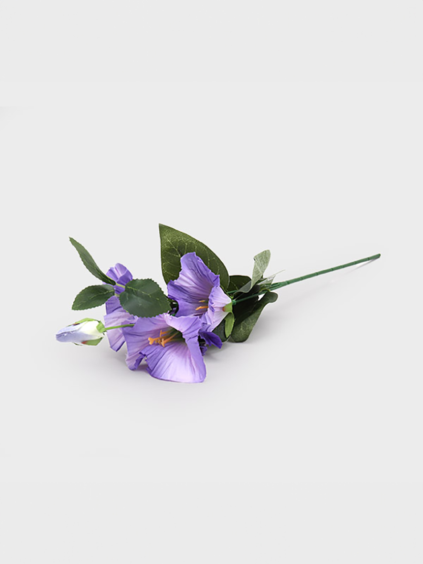 5송이 나팔꽃 가지(1000)