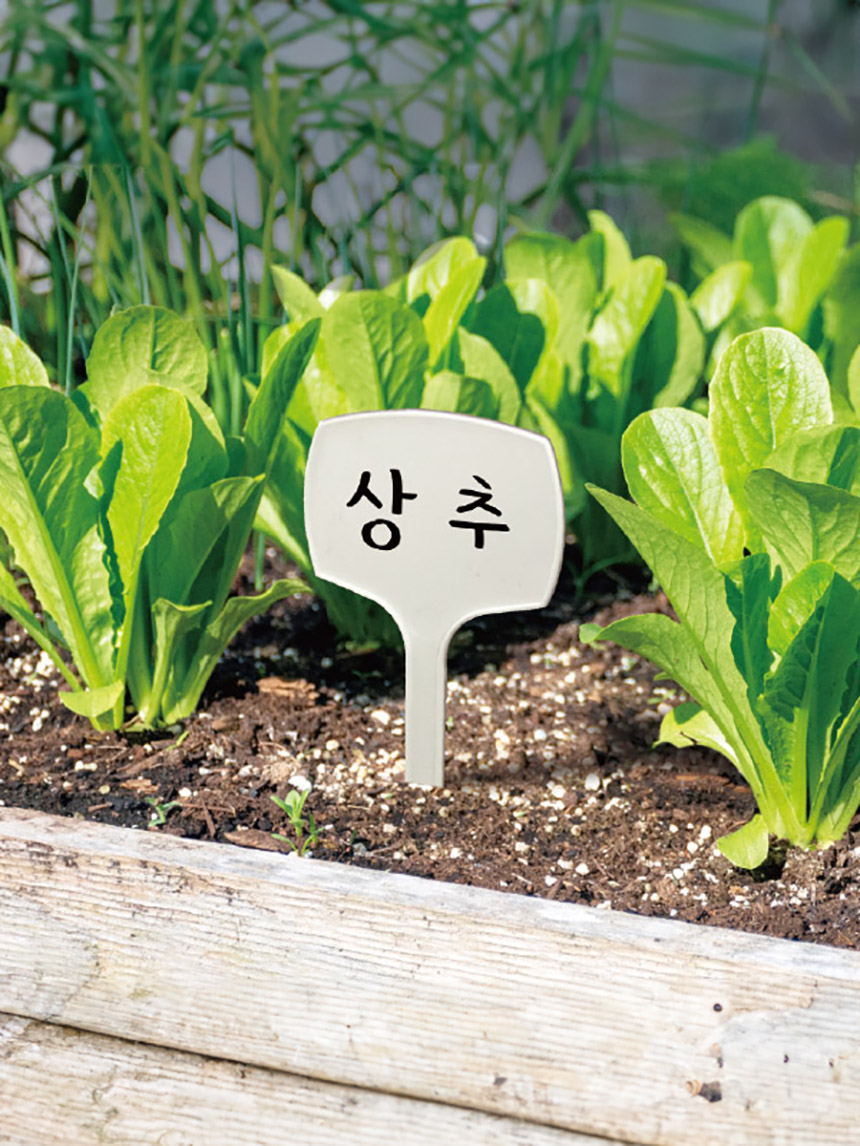 텃밭용 원예 플라스틱 피크 10개입