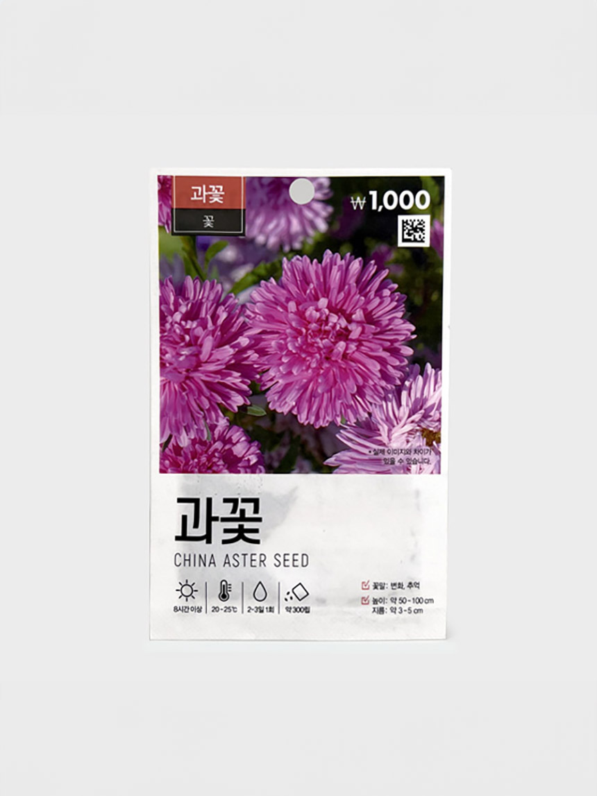 초록스타 과꽃 씨앗