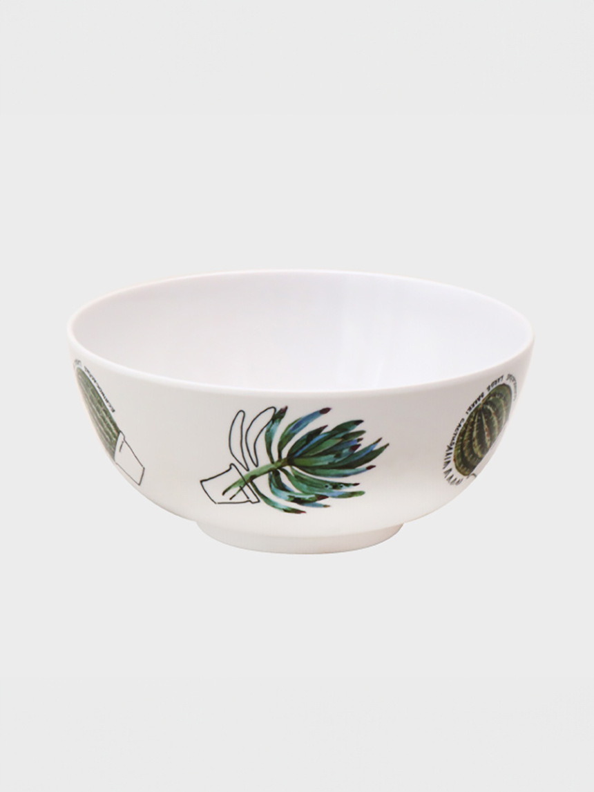 HB선인장멜라민볼-(15 cm)