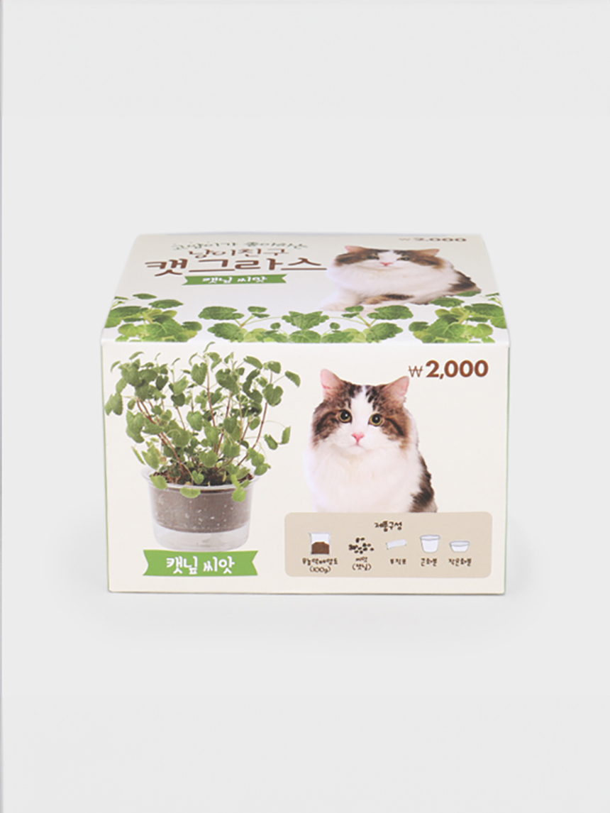 [Pets] COOM Кошачья трава (семена кошачьей мяты)
