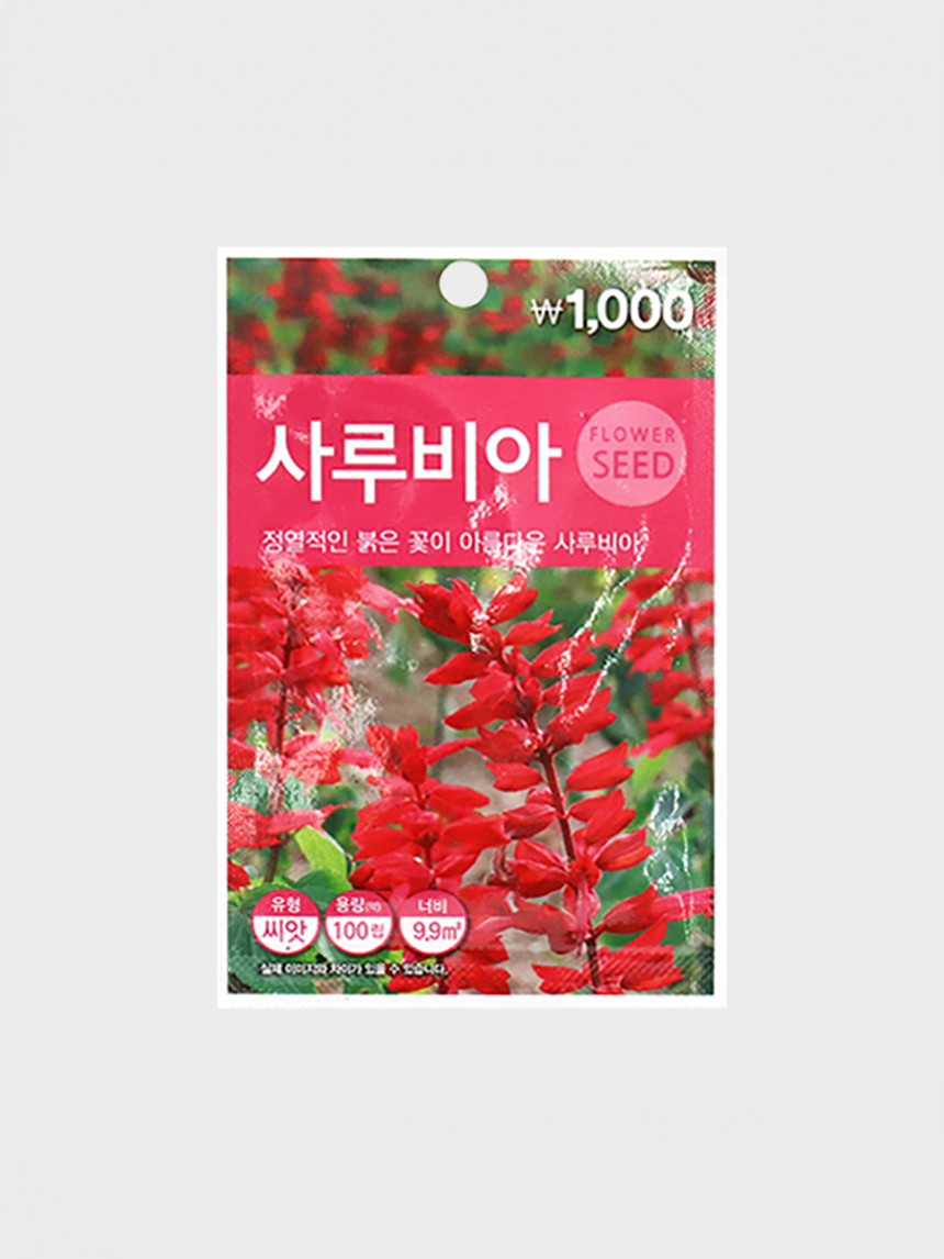 초록스타 사루비아 씨앗