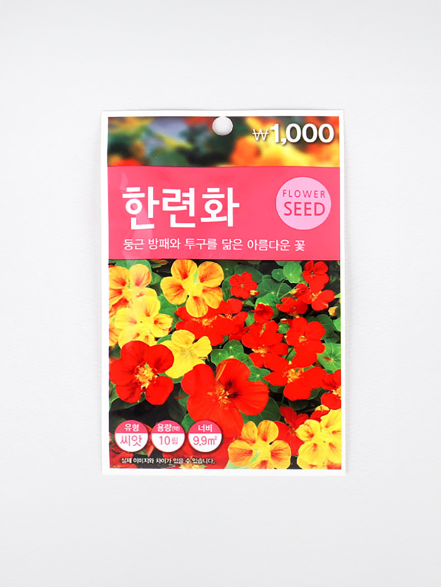 초록스타 한련화 씨앗
