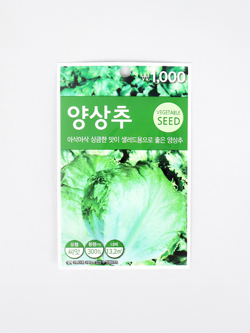 초록스타 양상추 씨앗