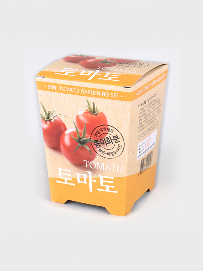 과일키우기 (토마토)