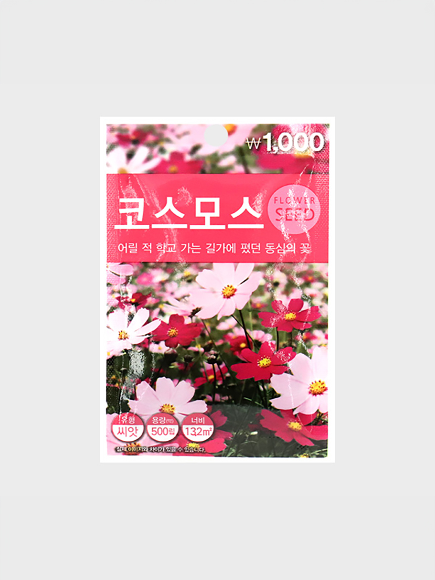 초록스타 코스모스 씨앗