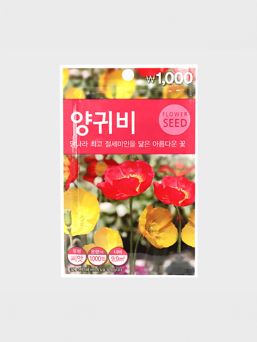 초록스타 양귀비 씨앗