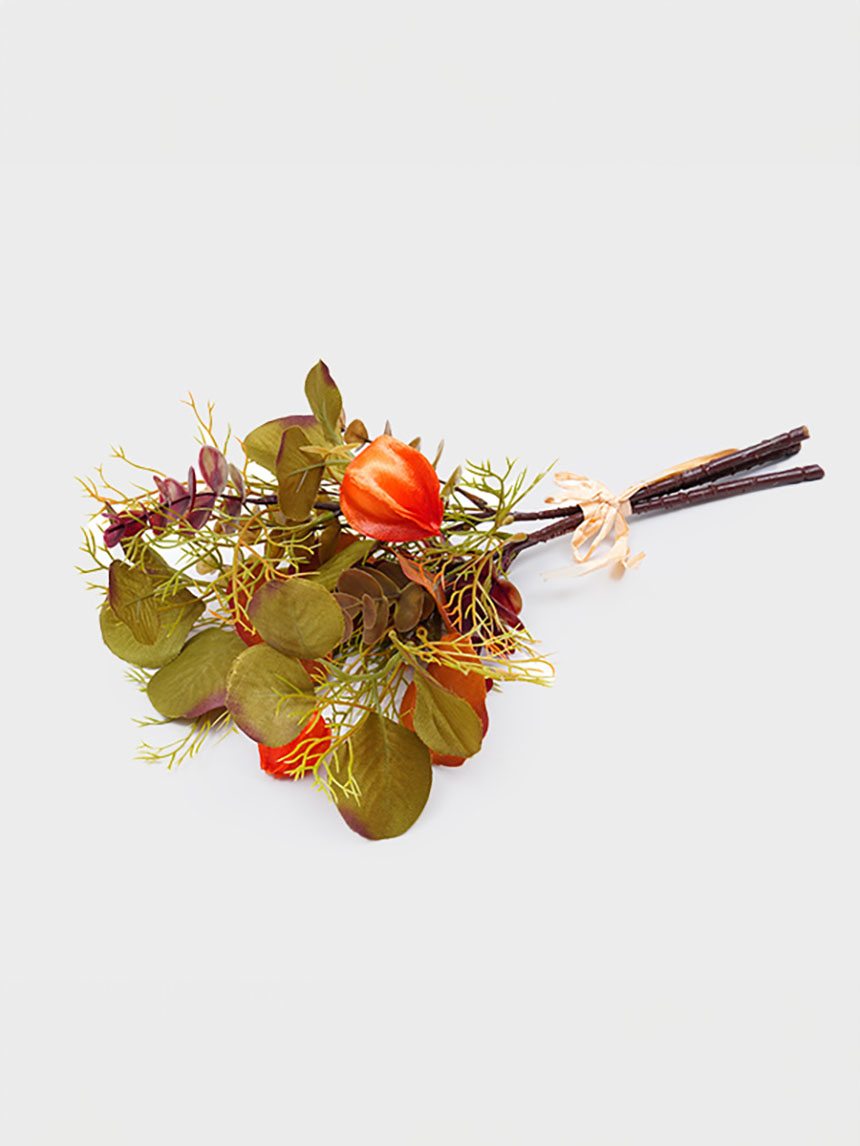 꽈리다발부쉬