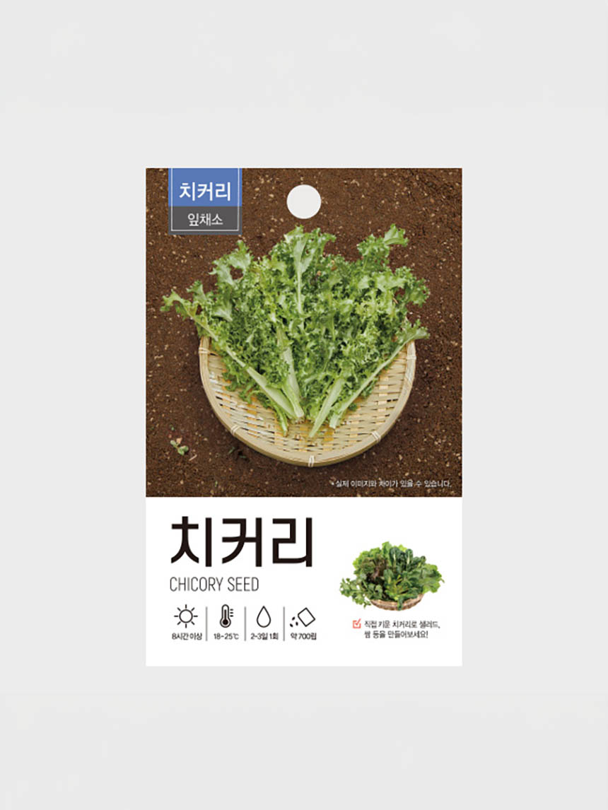 초록스타 치커리 씨앗