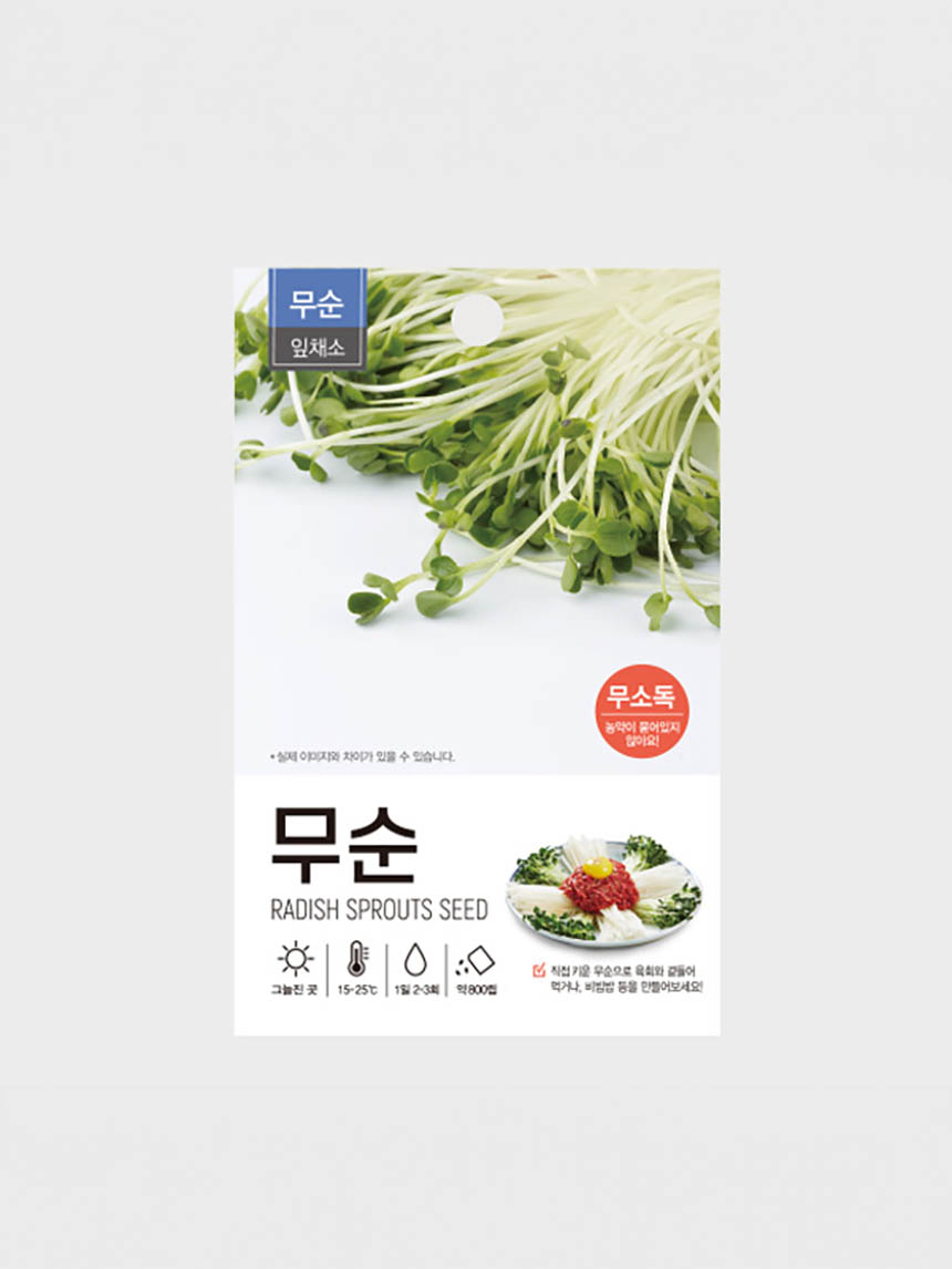새싹 채소 무순