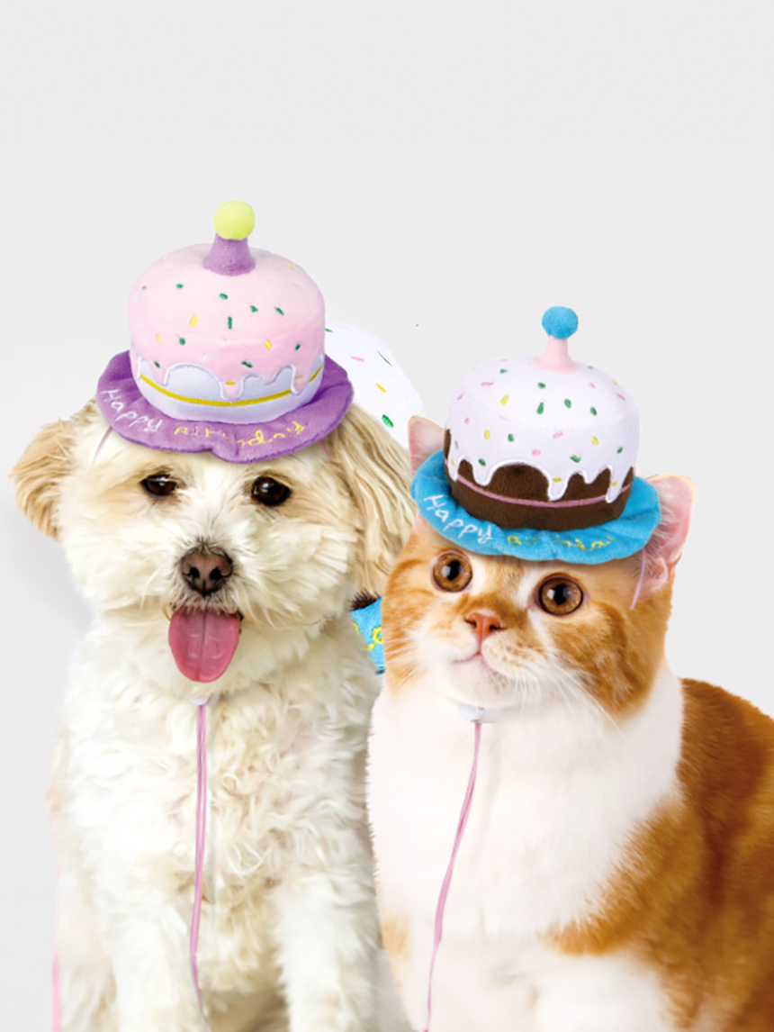 [펫]  생일파티 케이크 모자