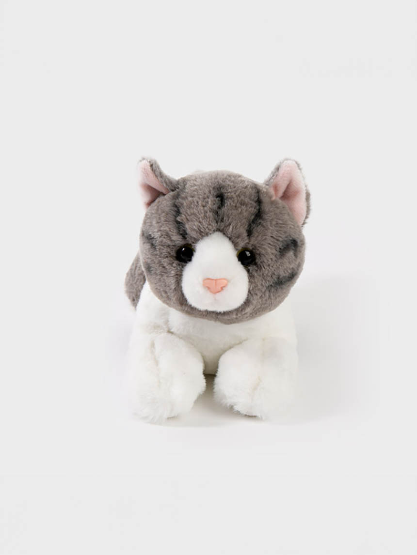 오로라 펫월드 고양이 인형