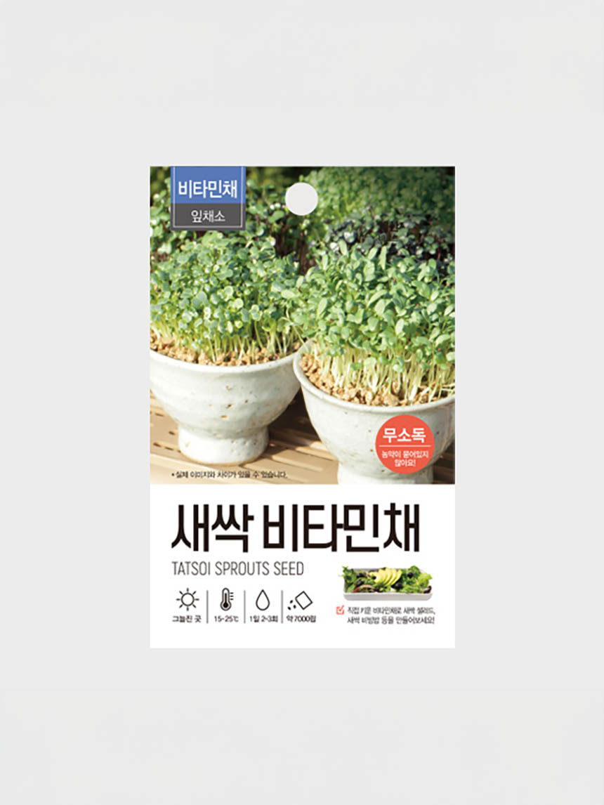 새싹 채소 비타민채