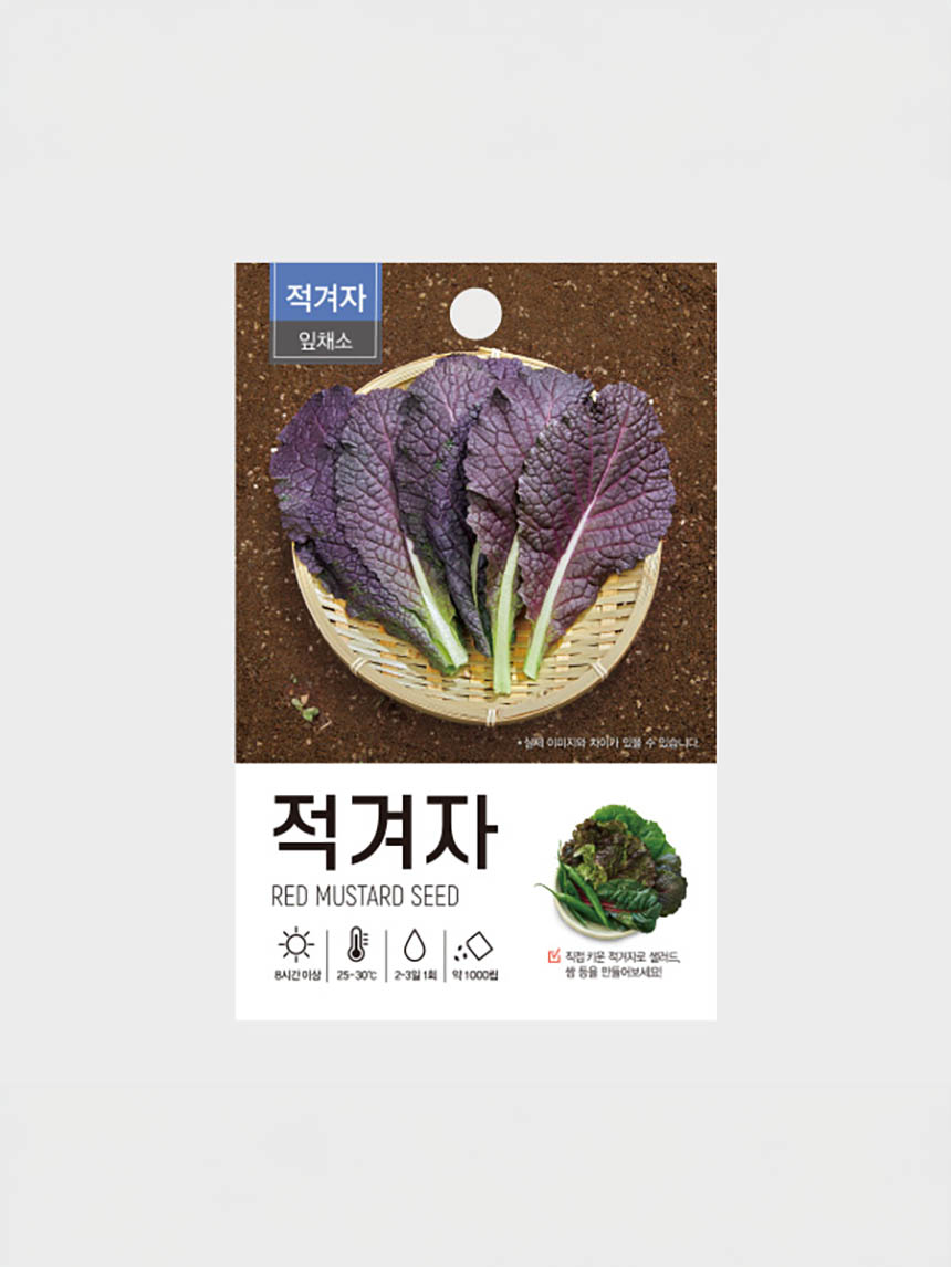 초록스타 적겨자 씨앗