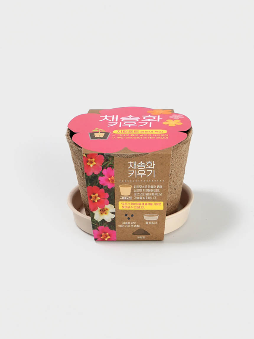 오가니팟 (채송화)