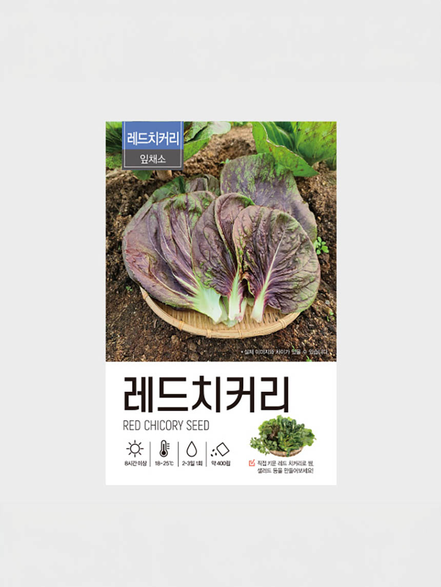 초록스타 레드 치커리 씨앗