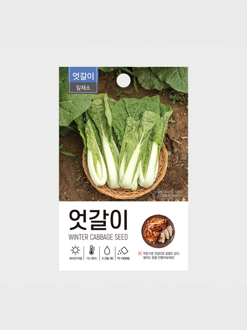 초록스타 엇갈이배추 씨앗
